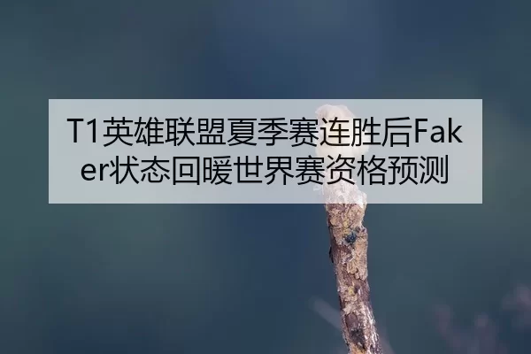 ying-xiong-lian-meng-xia-ji-sai-lian-sheng-hou-zhuang-tai-hui-nuan-shi-jie-sai-zi-ge-yu-ce-3-685.jpg